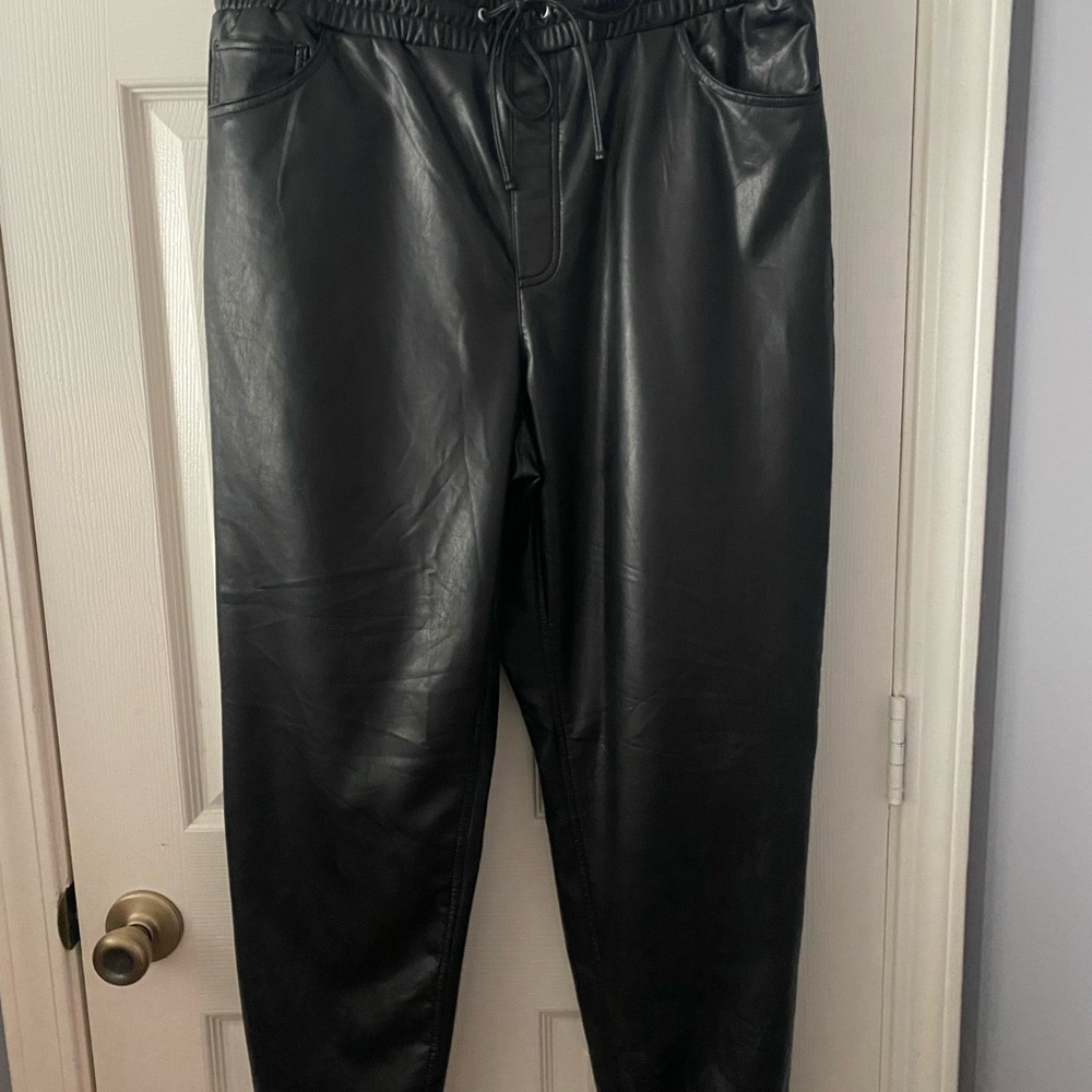 Express Faux Leather Pants